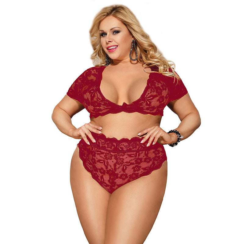 Lace Low Cut High Waist See Through Two Piece Suit Sexy Lingerie Women