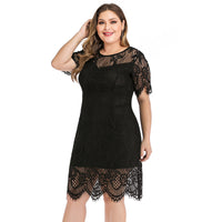 Plus Size Ladies Lace Dress