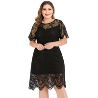 Plus Size Ladies Lace Dress