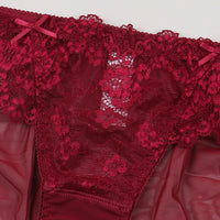 Ultra Thin Sexy Lace Hollow Out Cutout Mesh Translucent Low Waist Comfort Cotton Crotch Briefs for Women