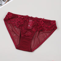 Ultra Thin Sexy Lace Hollow Out Cutout Mesh Translucent Low Waist Comfort Cotton Crotch Briefs for Women