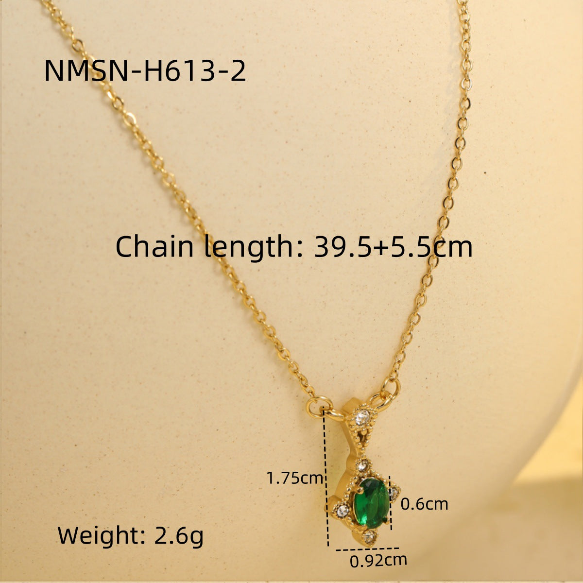 NMSN-H613-2