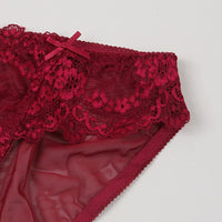 Ultra Thin Sexy Lace Hollow Out Cutout Mesh Translucent Low Waist Comfort Cotton Crotch Briefs for Women