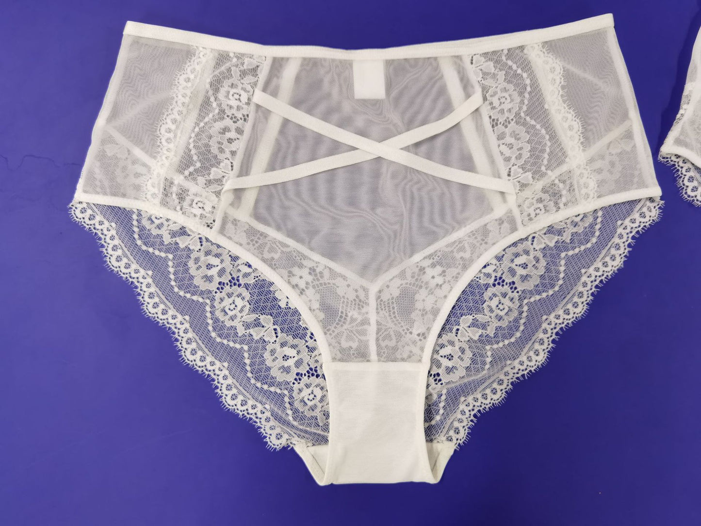 Seduction Sexy Mesh Panties Transparent High Waist Black Beige Underwear