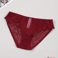 Ultra Thin Sexy Lace Hollow Out Cutout Mesh Translucent Low Waist Comfort Cotton Crotch Briefs for Women
