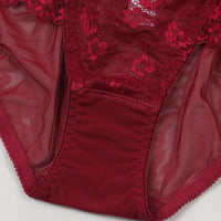 Ultra Thin Sexy Lace Hollow Out Cutout Mesh Translucent Low Waist Comfort Cotton Crotch Briefs for Women